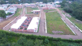 bosques de cantabria (7)